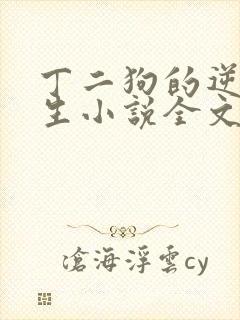 丁二狗的逆袭人生小说全文阅读