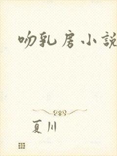 吻乳房小说封面