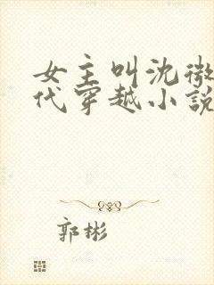 女主叫沈微的古代穿越小说