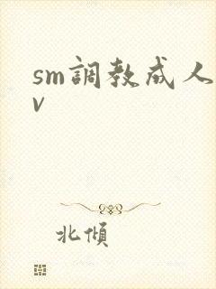 sm调教成人av