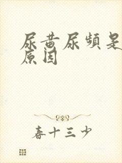 尿黄尿频是什么原因封面