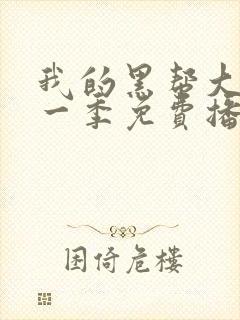 我的黑帮大佬第一季免费播放