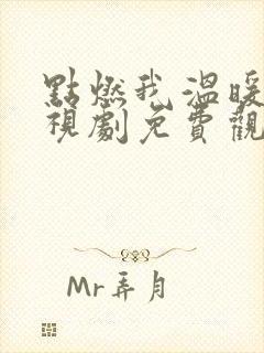 点燃我温暖你电视剧免费观看33集