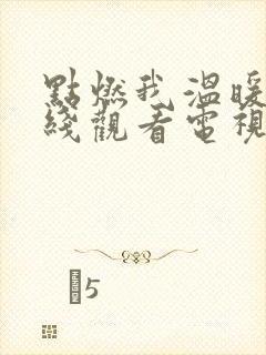 点燃我温暖你在线观看电视剧免费