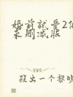 婚前试爱2做爰未删减版封面