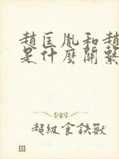 赵匡胤和赵匡胤是什么关系