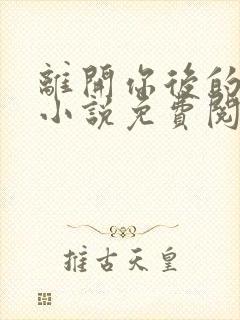 离开你后的新生小说免费阅读封面