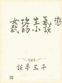 女攻生气惩罚总裁的小说