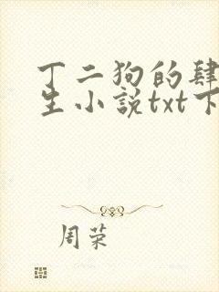 丁二狗的肆意人生小说txt下载