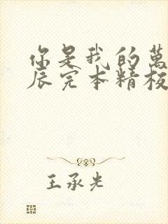 你是我的万千星辰完本精校版txt下载封面