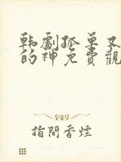 韩剧孤单又灿烂的神免费观看