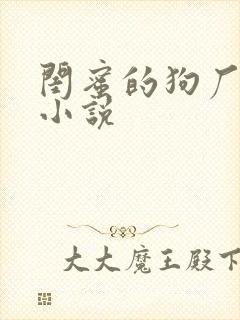 闺蜜的狗厂李丽小说