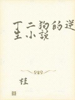 丁二狗的逆袭人生小说