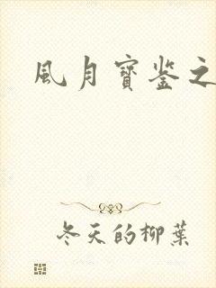 风月宝鉴之
