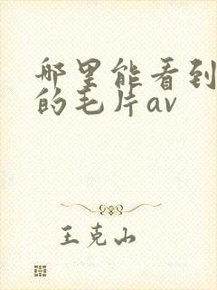 哪里能看到免费的毛片av