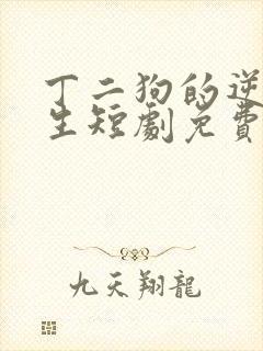 丁二狗的逆袭人生短剧免费观看全集