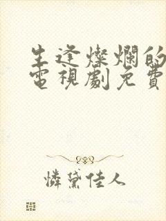 生逢灿烂的日子电视剧免费全集