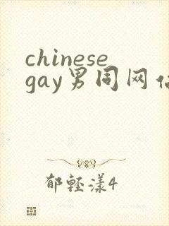chinesegay男同网站