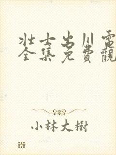 壮士出川电视剧全集免费观看高清