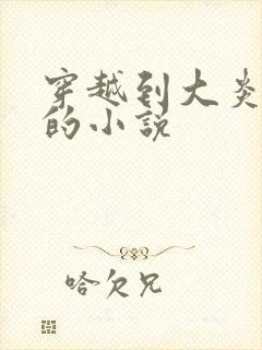 穿越到大炎王朝的小说