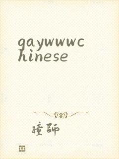 gaywwwchinese