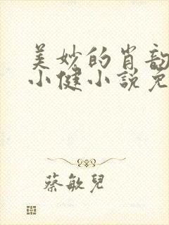 美妙的肖韵云和小健小说免费阅读