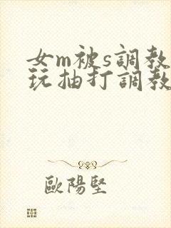 女m被s调教虐玩抽打调教