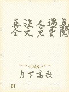 再没人遇见小说全文免费阅读