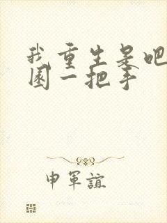 我重生是吧幼儿园一把手封面