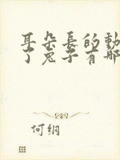 耳朵长的动物除了兔子有哪些