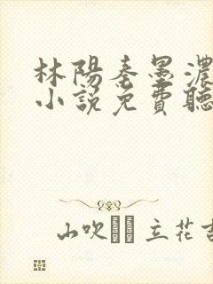 林阳秦墨浓有声小说免费听书