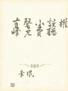 有声小说权力巅峰免费听