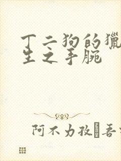 丁二狗的猎艳人生之手腕