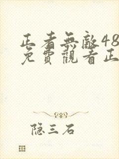 正者无敌48集免费观看正片