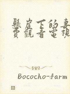 悬崖下的妻子免费观看电视剧全集