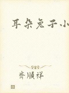 耳朵兔子小说封面