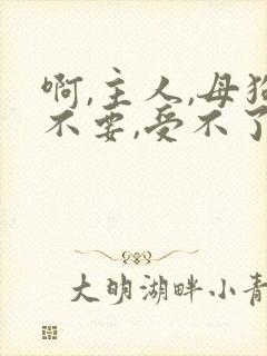 啊,主人,母狗不要,受不了,调教打