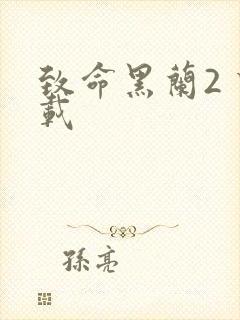 致命黑兰2 下载