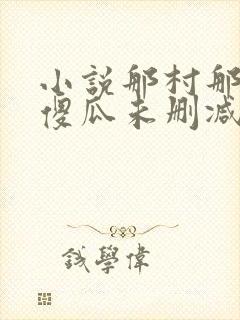 小说那村那人那傻瓜未删减版