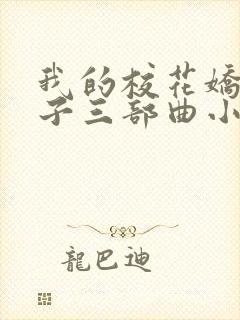 我的校花娇妻叶子三部曲小说