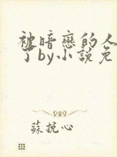 被暗恋的人俘虏了by小说免费阅读