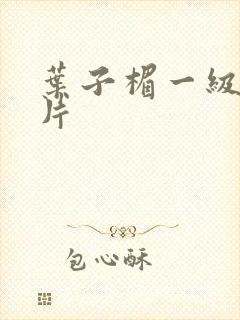 叶子楣一级淫爱片