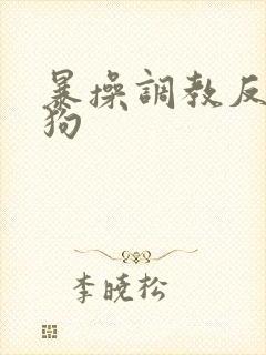 暴操调教反差母狗