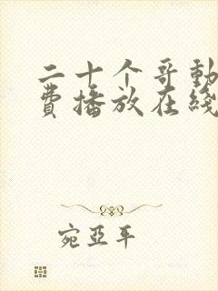 二十个哥动漫免费播放在线观看