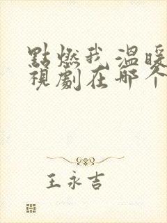 点燃我温暖你电视剧在哪个卫视播出