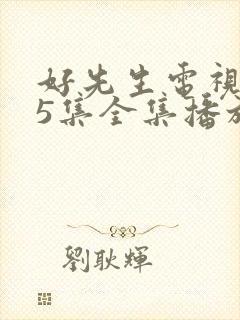 好先生电视剧45集全集播放免费