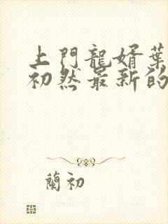 上门龙婿叶辰萧初然最新的