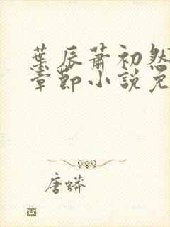 叶辰萧初然最新章节小说免费阅读