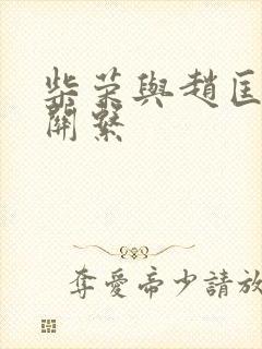 柴荣与赵匡胤的关系