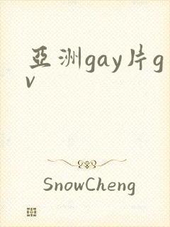 亚洲gay片gv